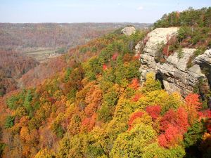 Courthouse Rock in the Red River Gorge Geological Area in Kentucky. Photo by Corey Heitz courtesy of Flickr and Wikipedia Commons).